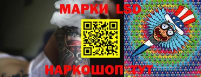 гидропоника Кингисепп