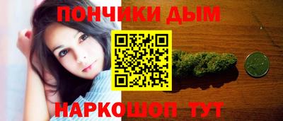 гидропоника Кингисепп