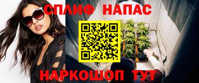 гидропоника Кингисепп