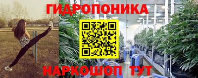 гидропоника Кингисепп