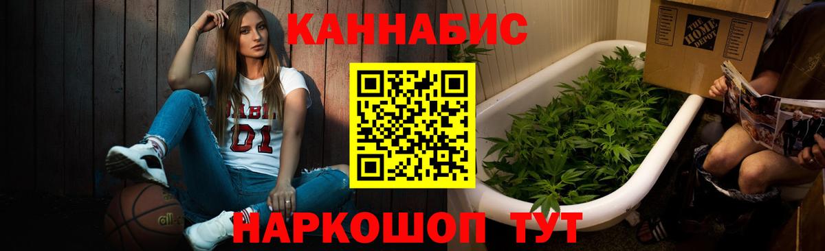 Канабис сатива Кстово